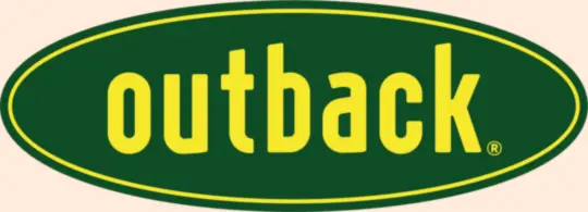 outback bbq cleaning